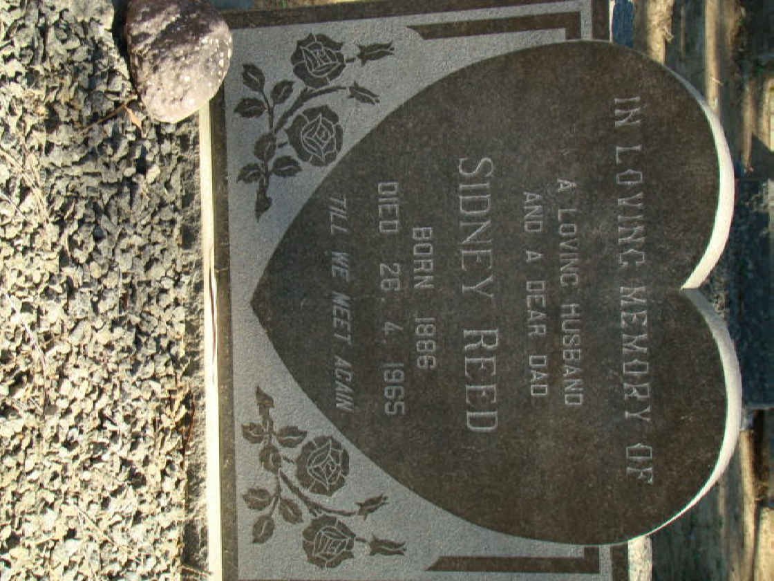 REED Sidney 1886-1965