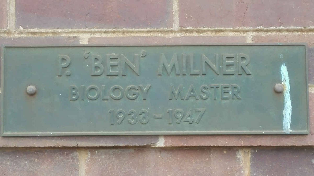 MILNER P.