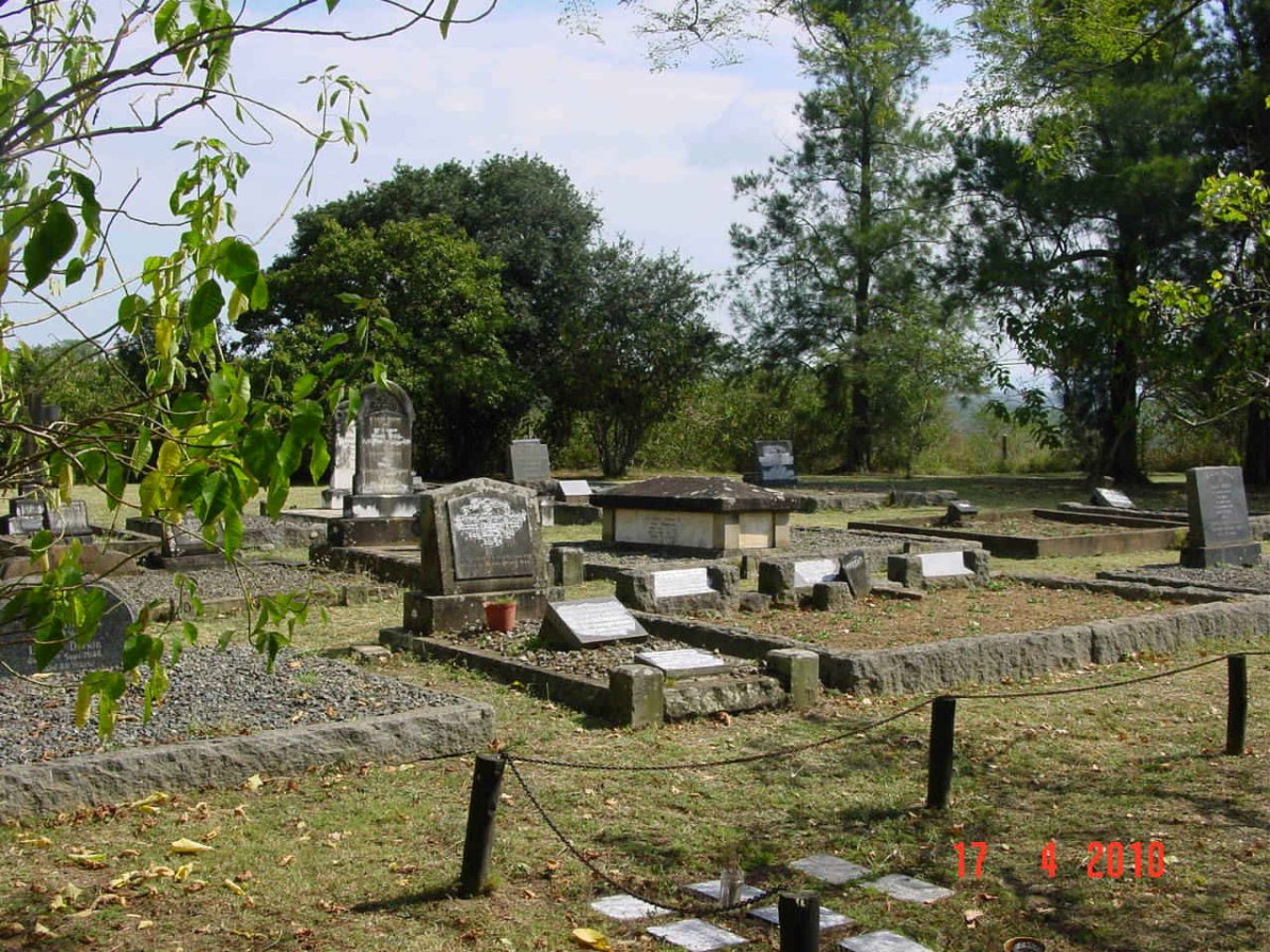 5. Overview