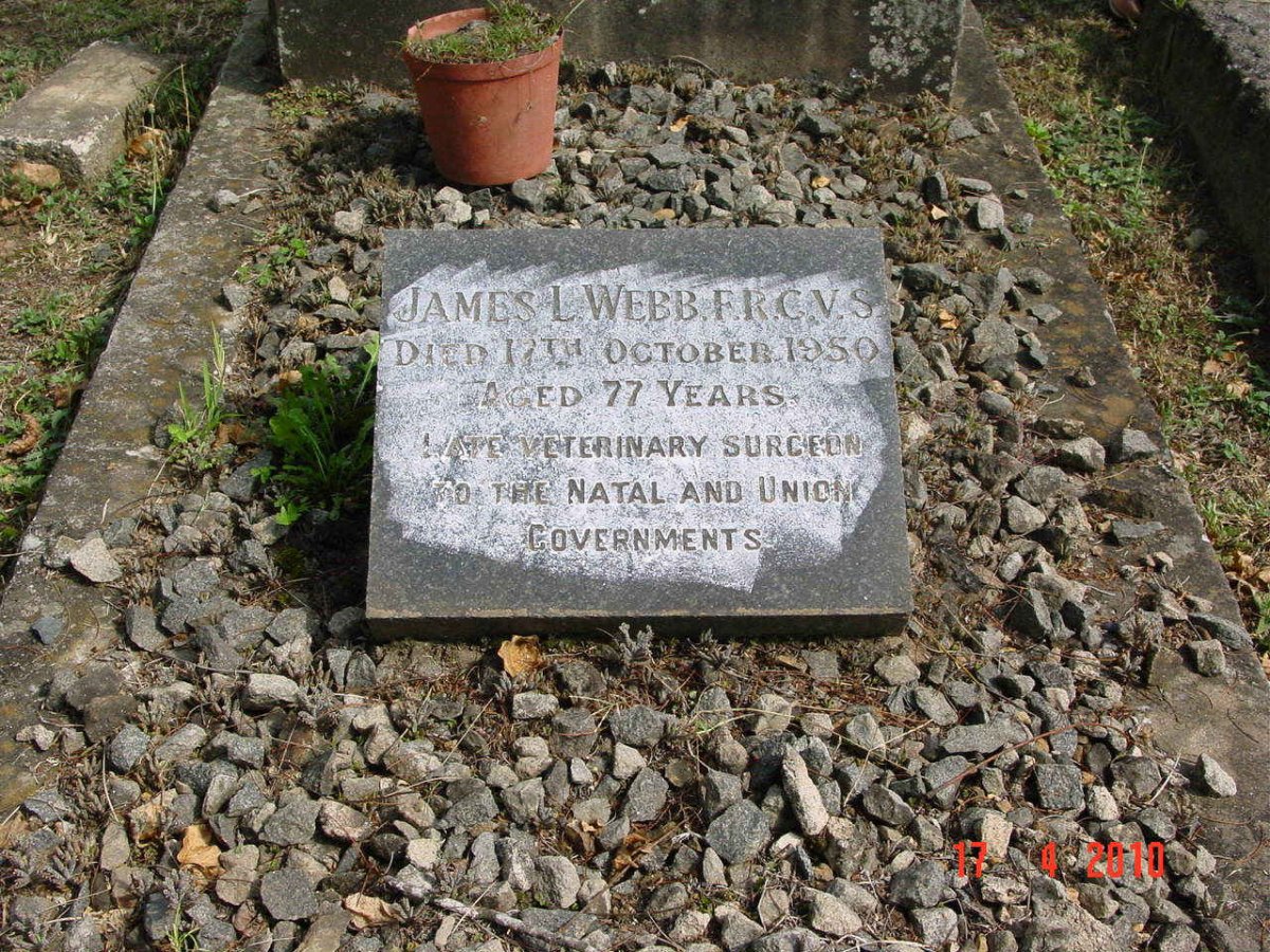 WEBB James L. -1950
