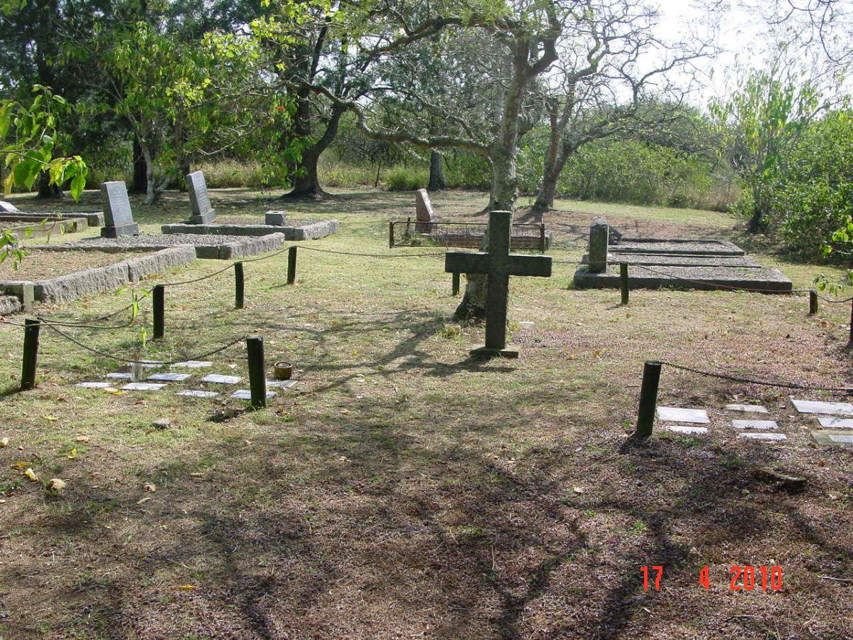 4. Overview