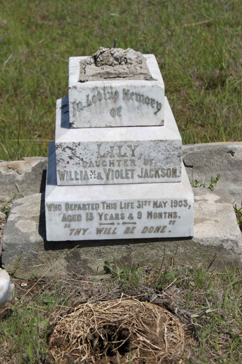 JACKSON Lily -1903
