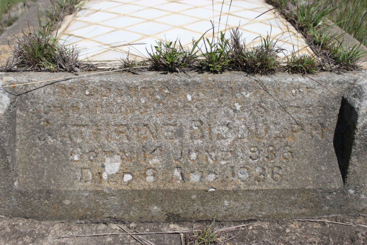 BIDDULPH Catharina 1986-1986