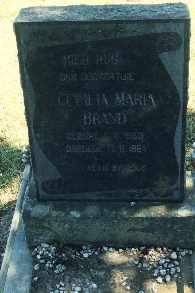 BRAND Cecilia Maria 1953-1964