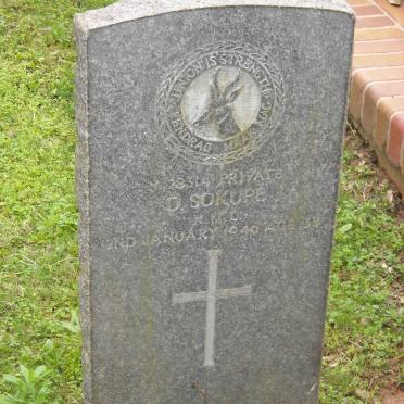 SOKUPE D. -1946