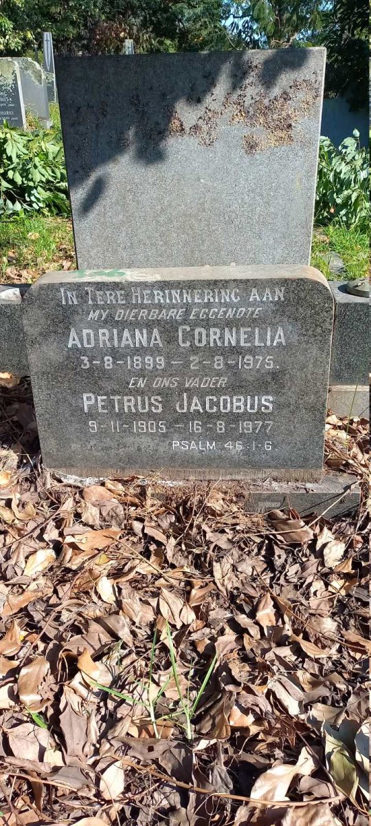 ? Petrus Jacobus 1905-1977 :: ? Adriana Cornelia 1899-1975