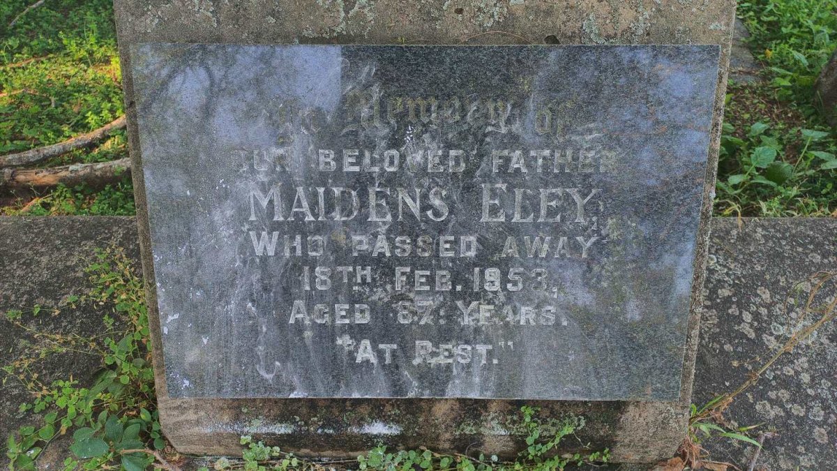 ELEY Maidens -1953