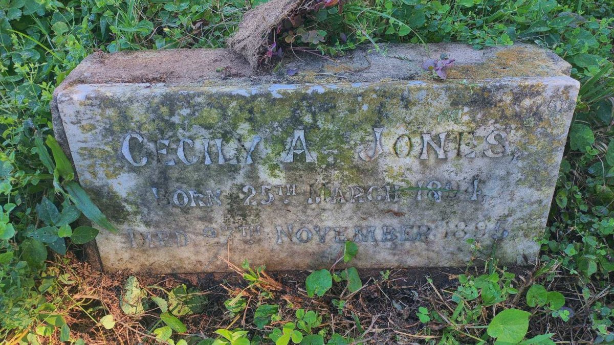 JONES Cecily A. 1894-1895