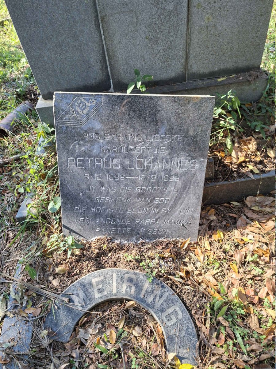 MEIRING Petrus Johannes 1986-1989