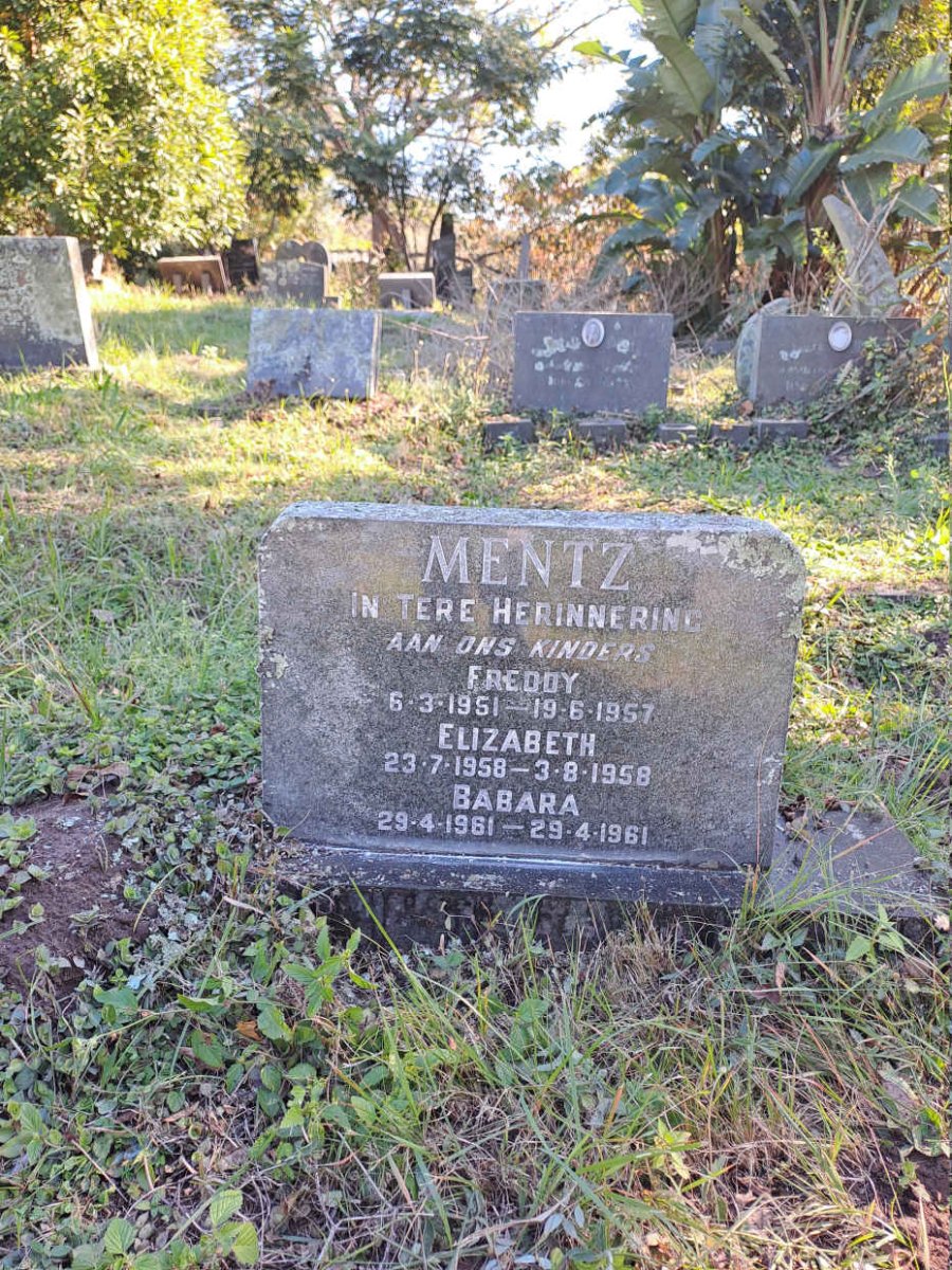 MENTZ Freddy 1951-1957 :: MENTZ Elizabeth 1958-1958 :: MENTZ Babara -1961