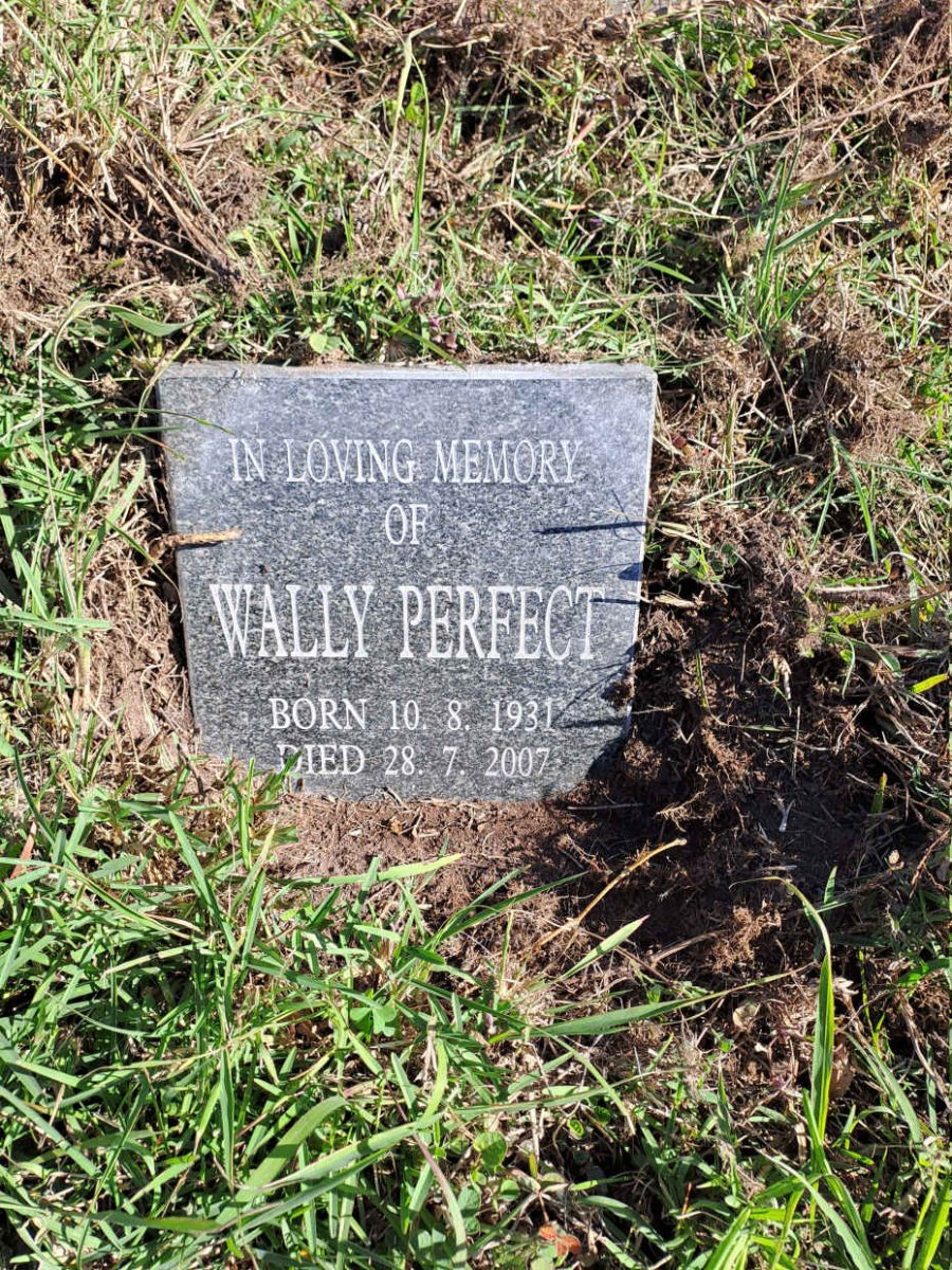 PERFECT Wally 1931-2007
