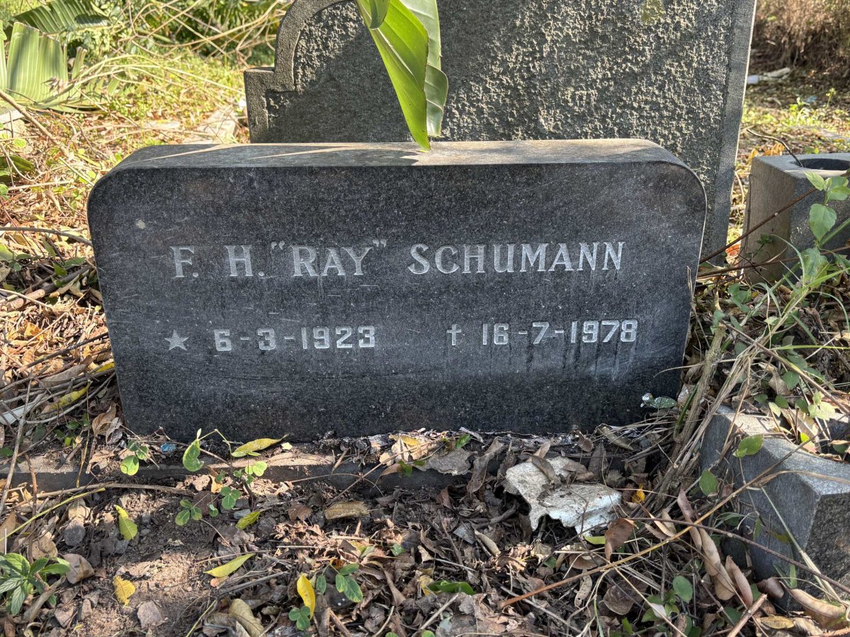 SCHUMANN F.H. 1923-1978