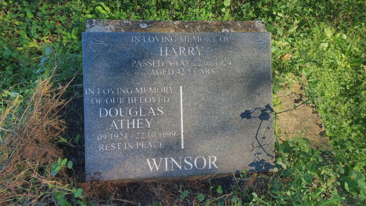 WINSOR Harry -1924 :: WINDSOR Douglas Athey 1924-1999