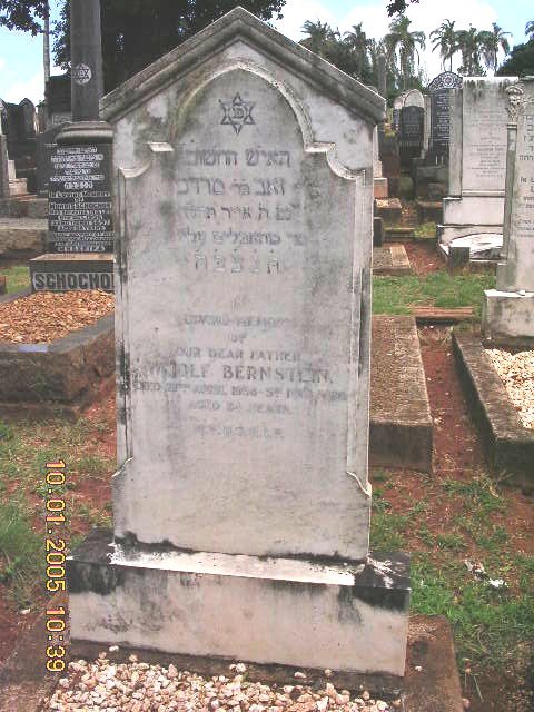 BERNSTEIN Woolf