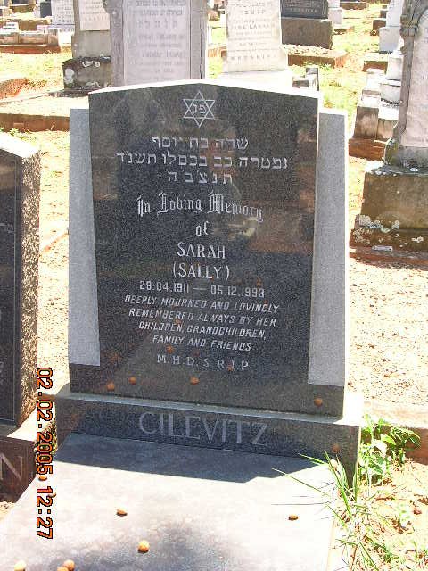 CILEVITZ Sarah 1911-1993