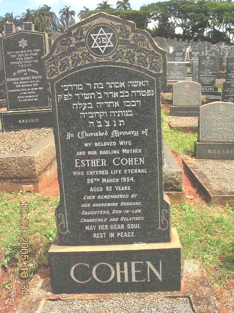 COHEN Esther -1954