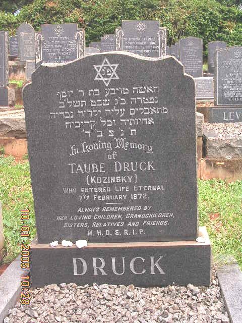 DRUCK Taube nee KOZINSKY -1972