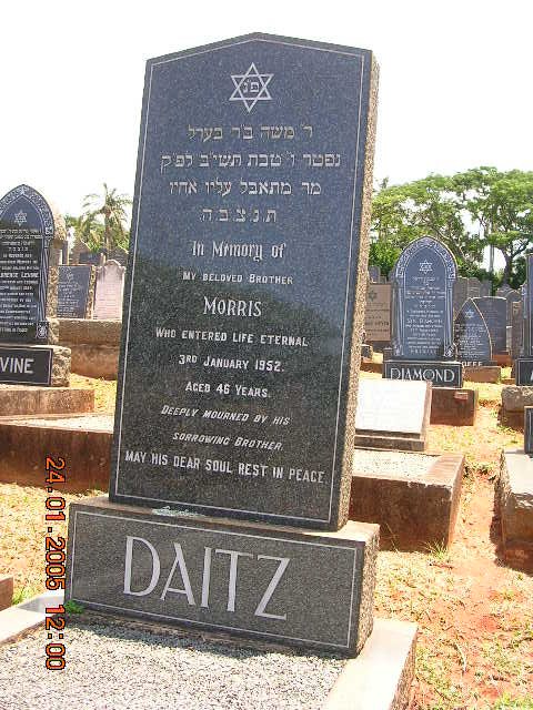 DAITZ Morris -1952