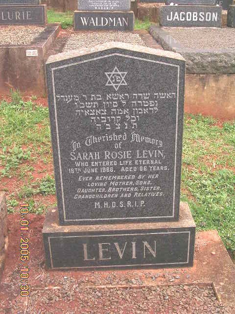 LEVIN Sarah Rosie -1966