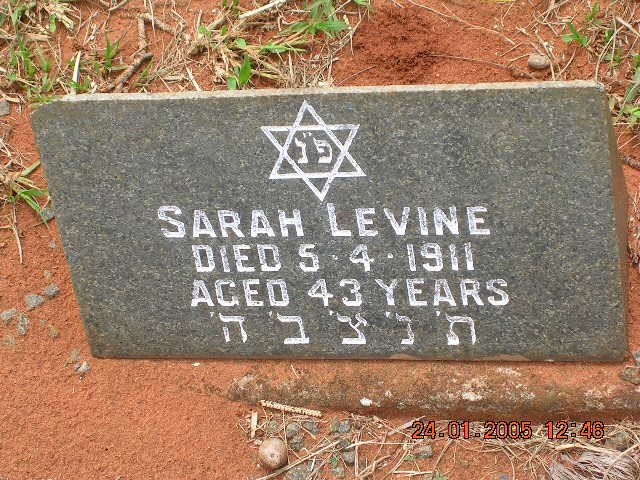 LEVINE Sarah -1911