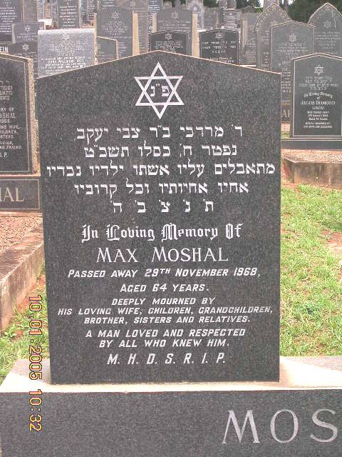 MOSHAL Max -1968 &amp; Zelda -1990