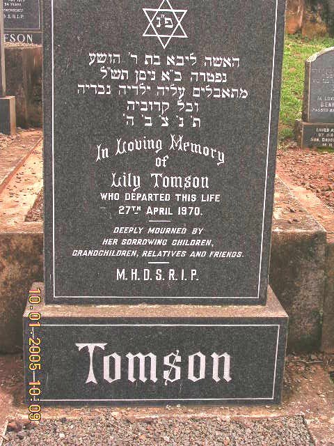 TOMSON Lily -1970