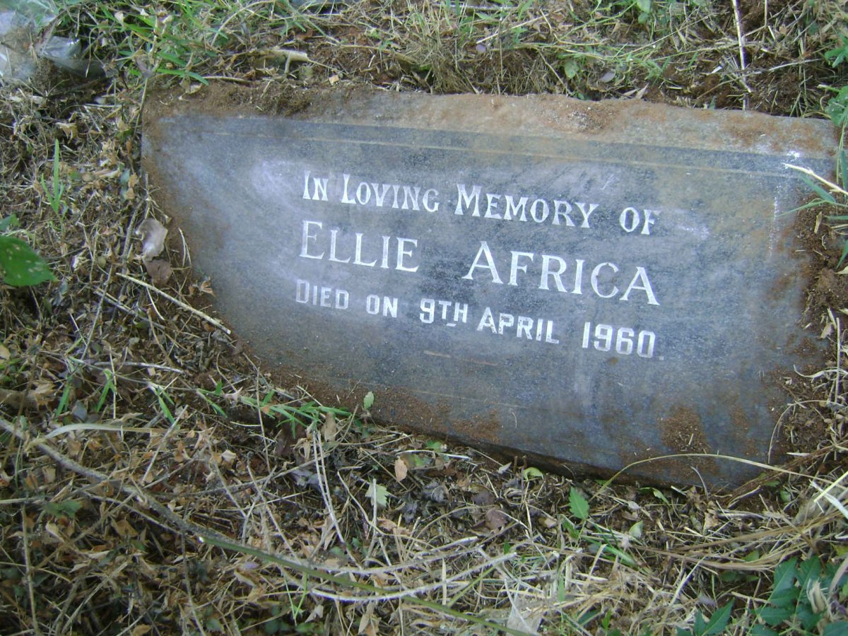 AFRICA Ellie -1960