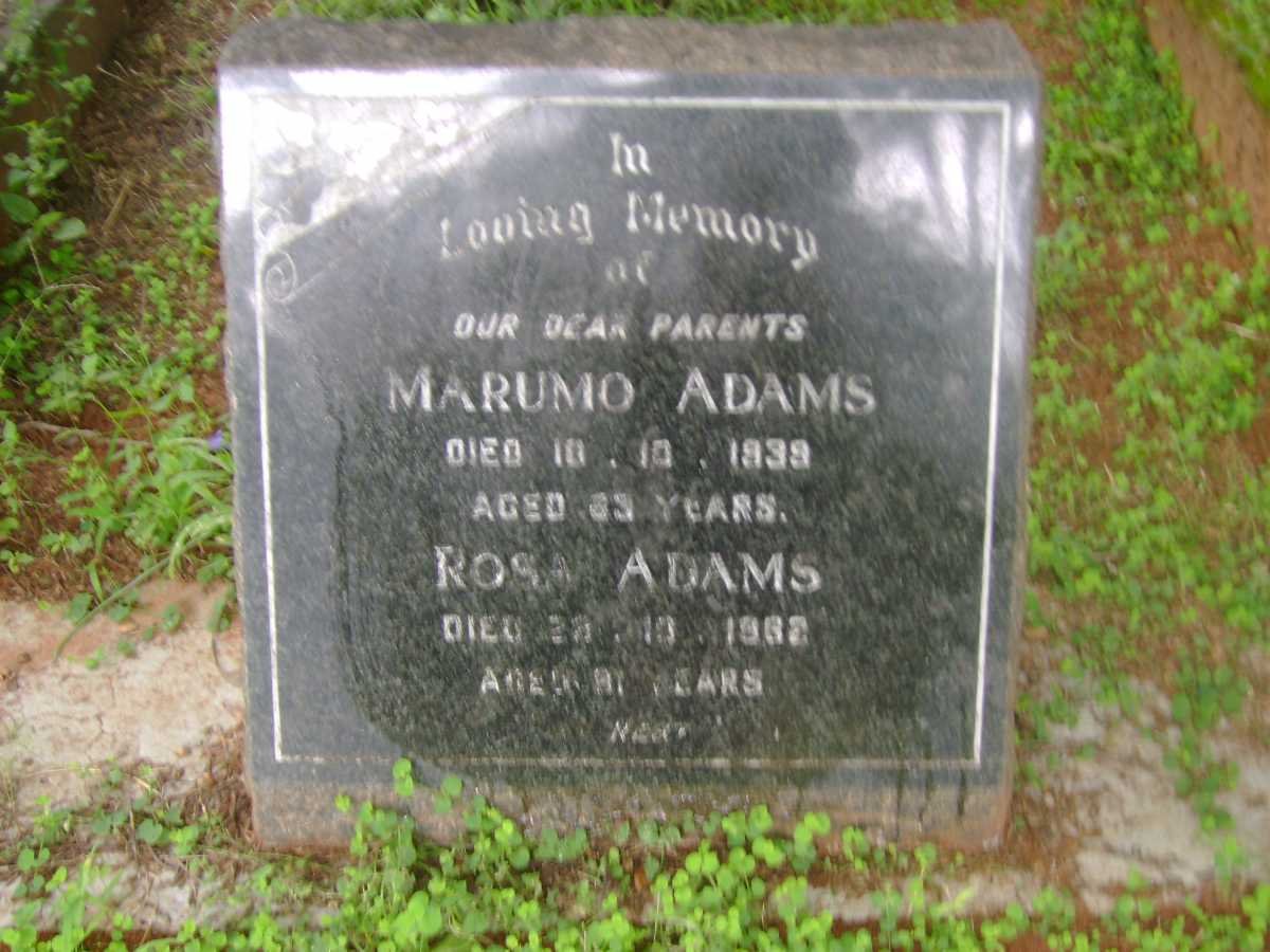 ADAMS Marumo -1939 &amp; Rosa -1962