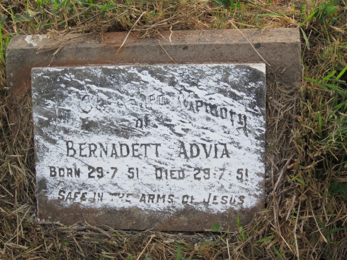 ADVIA Bernadett 1951-1951