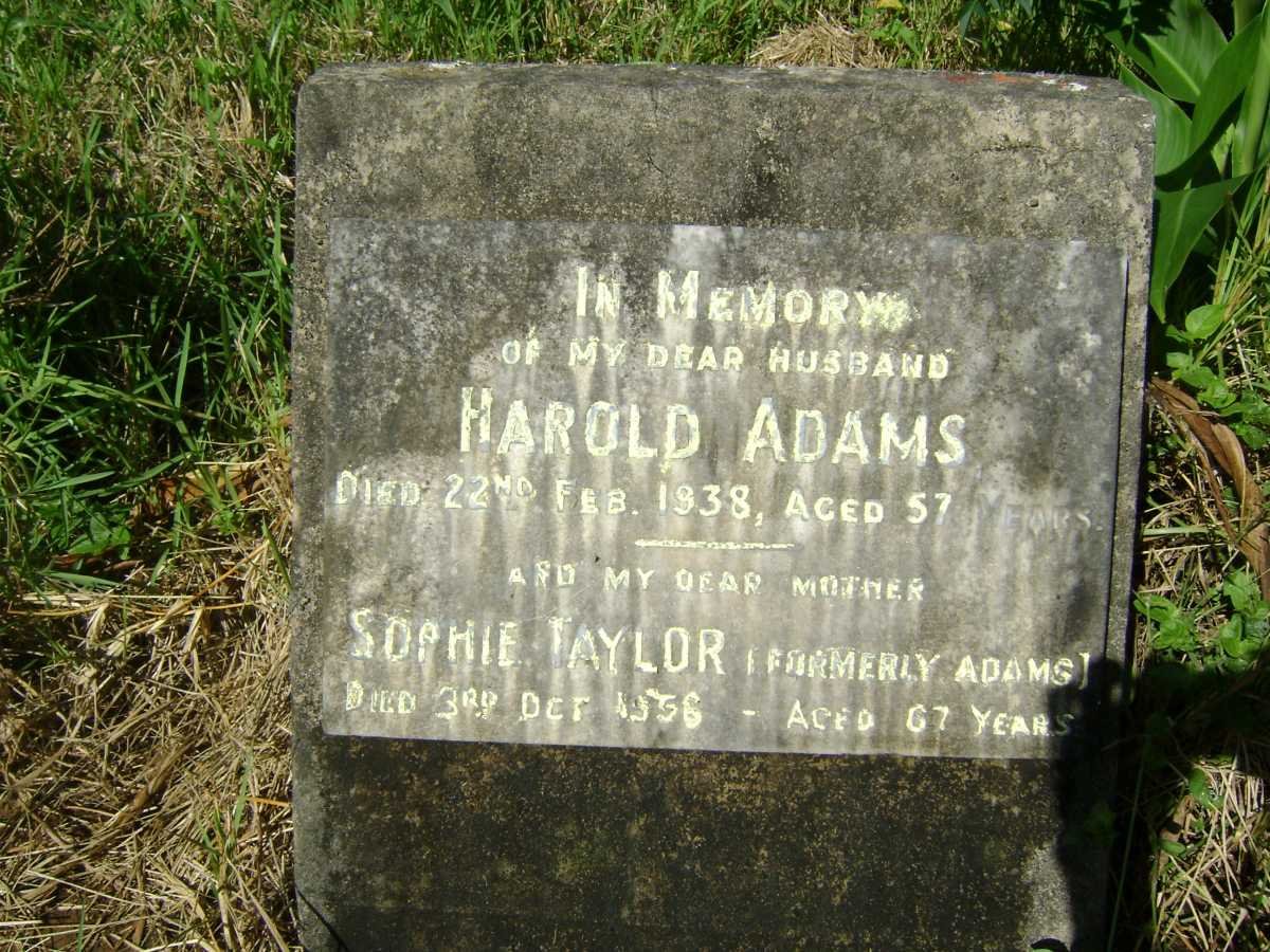 ADAMS Harold -1938 &amp; Sophie TAYLOR formerly ADAMS -1956