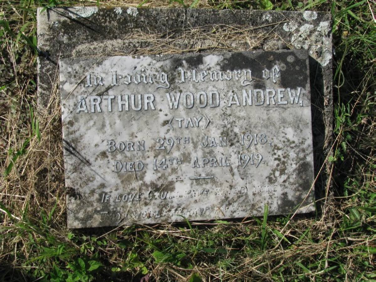 ANDREW Arthur Wood 1918-1919