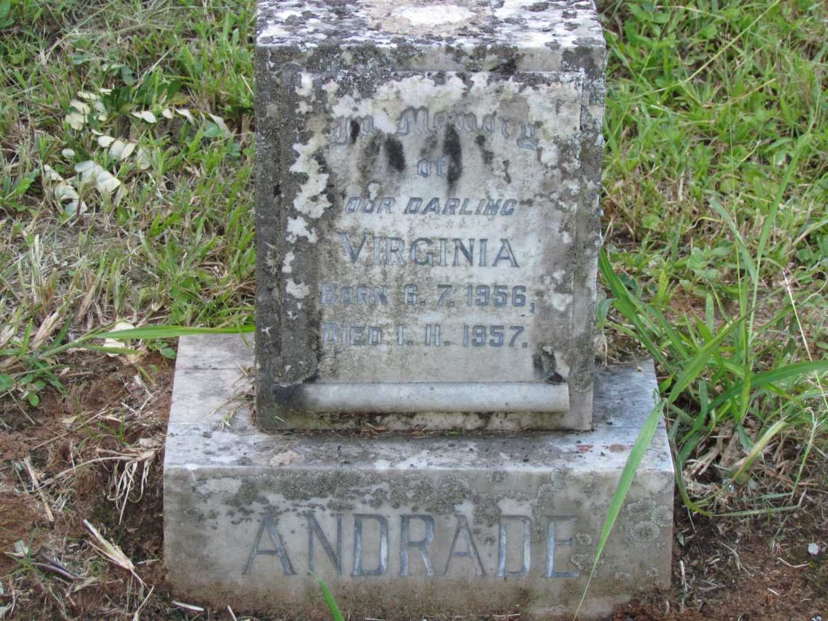 ANDRADE Virginia 1956-1957
