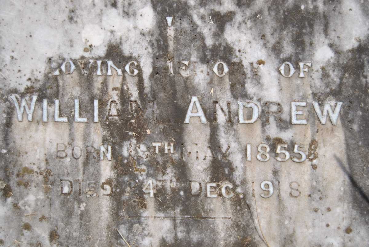 ANDREW William 1855-1918