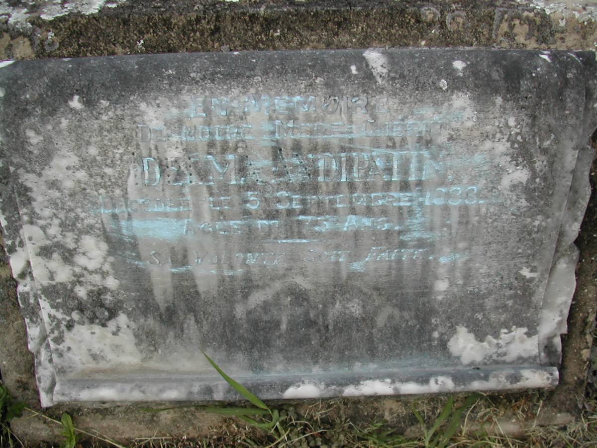 ANDIPATIN  Idelma -1933