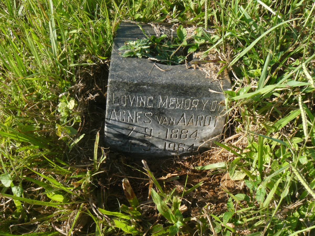 AARDT Agnes, van 1884-1964
