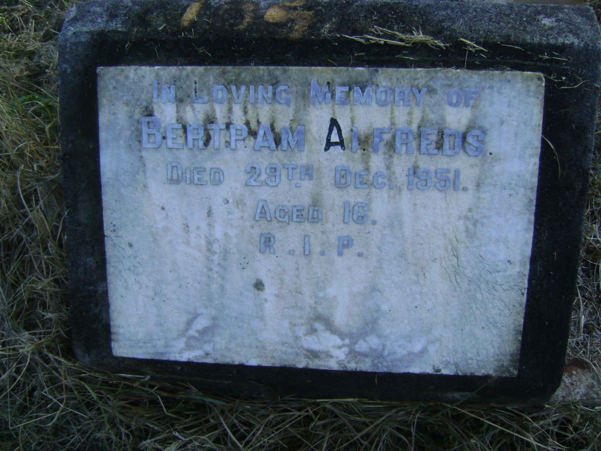 ALFREDS Bertram -1951