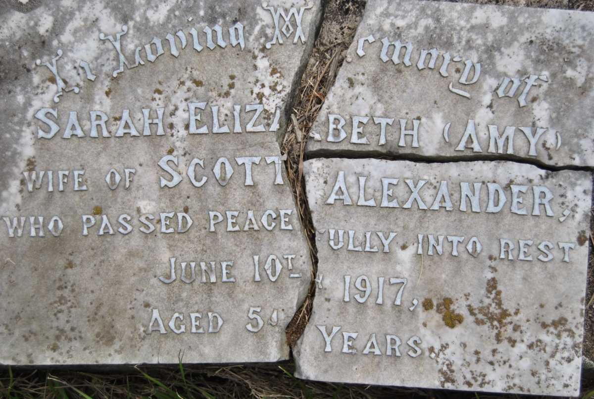 ALEXANDER Sarah Elizabeth -1917