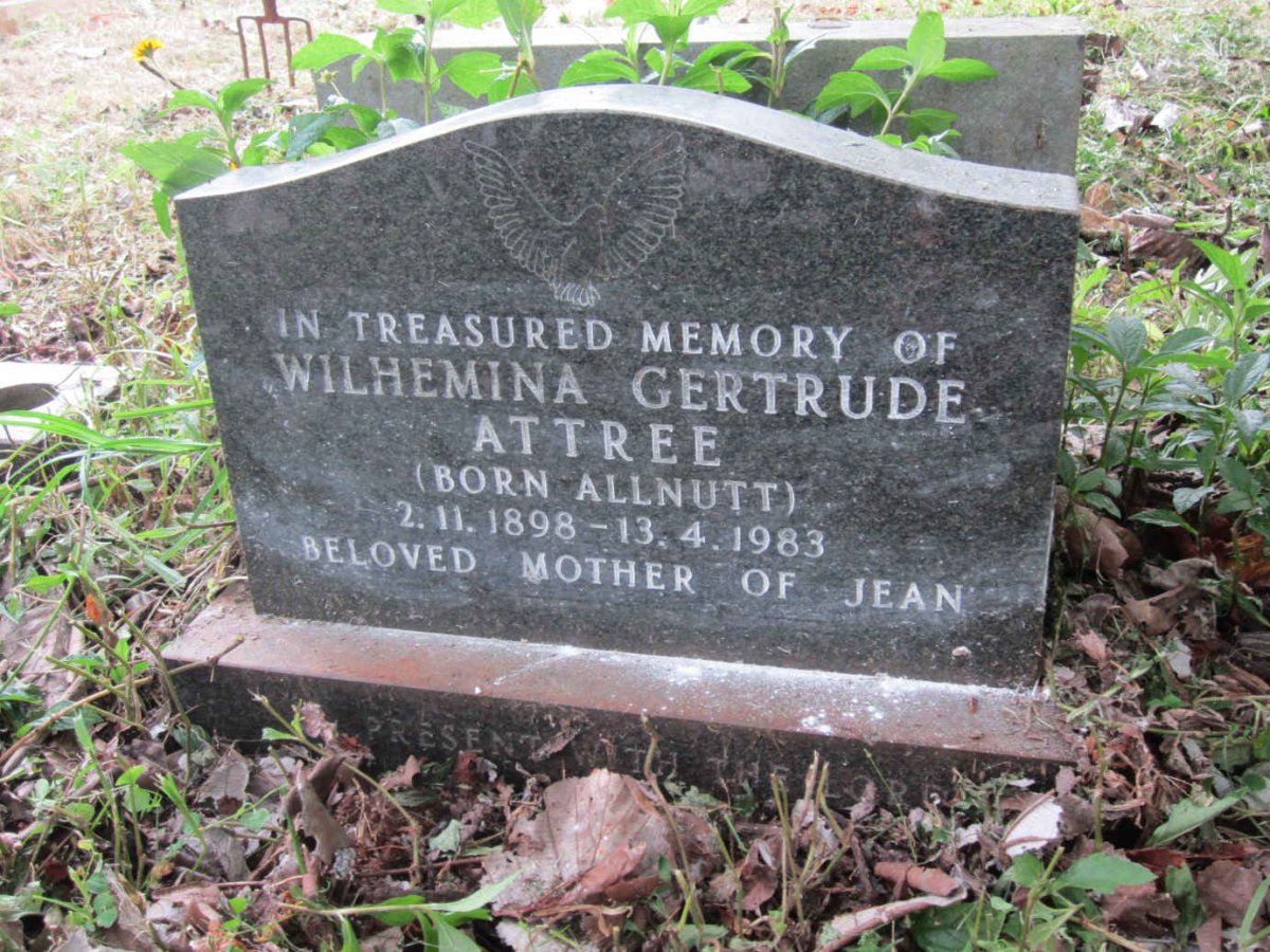 ATTREE Wilhelmina Gertrude nee ALLNUTT 1898-1983