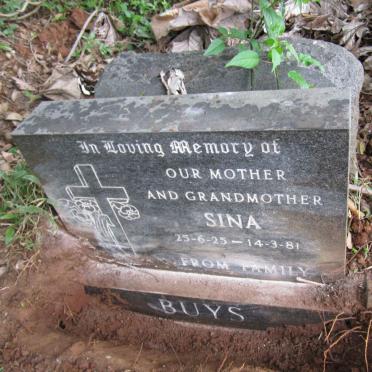 BUYS Sina 1925-1981