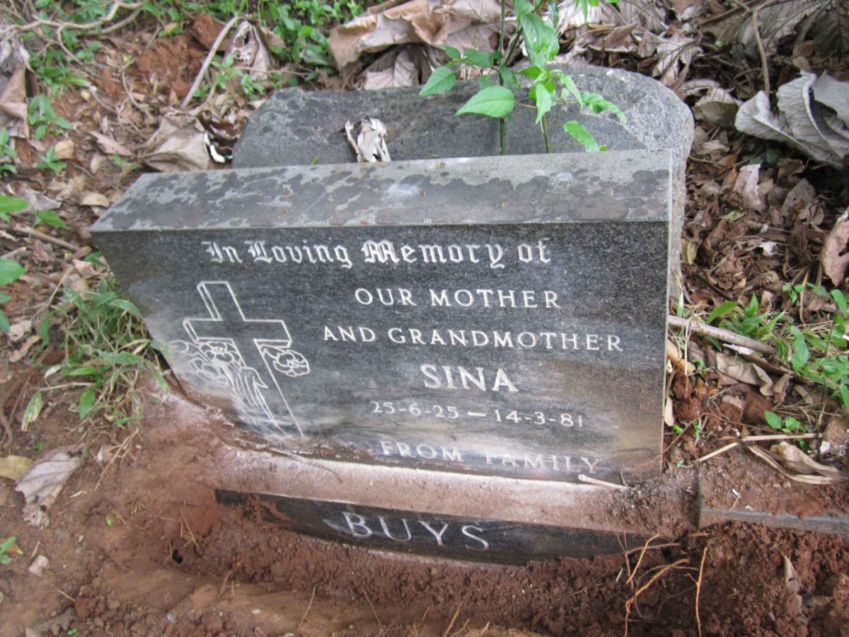 BUYS Sina 1925-1981