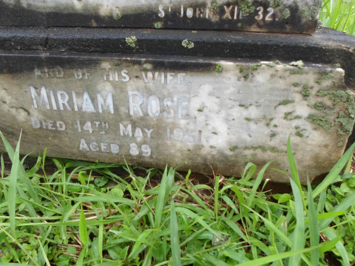BULL Miriam Rose -1951