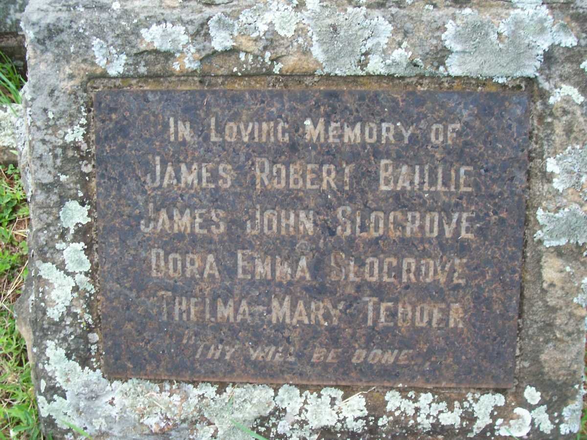 BAILLIE James Robert :: SLOGROVE James John :: SLOGROVE Dora Emma :: TEDDER Thelma Mary