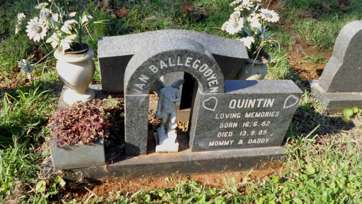 BALLEGOOYEN Quintin, van 1982-1989