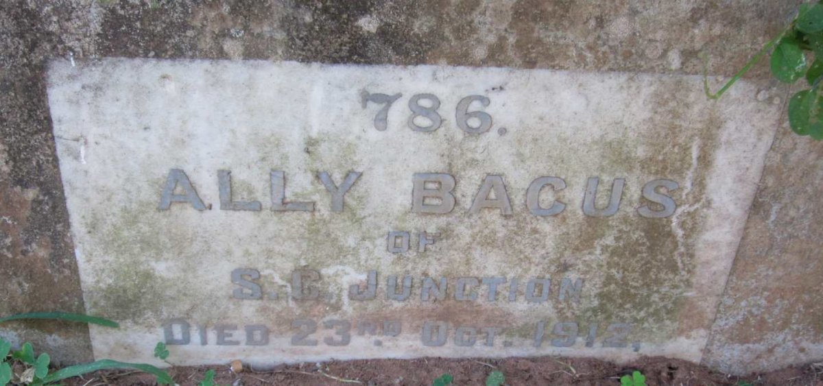 BACUS Ally -1912