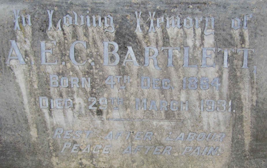 BARTLETT A.E.C. 1864-1931