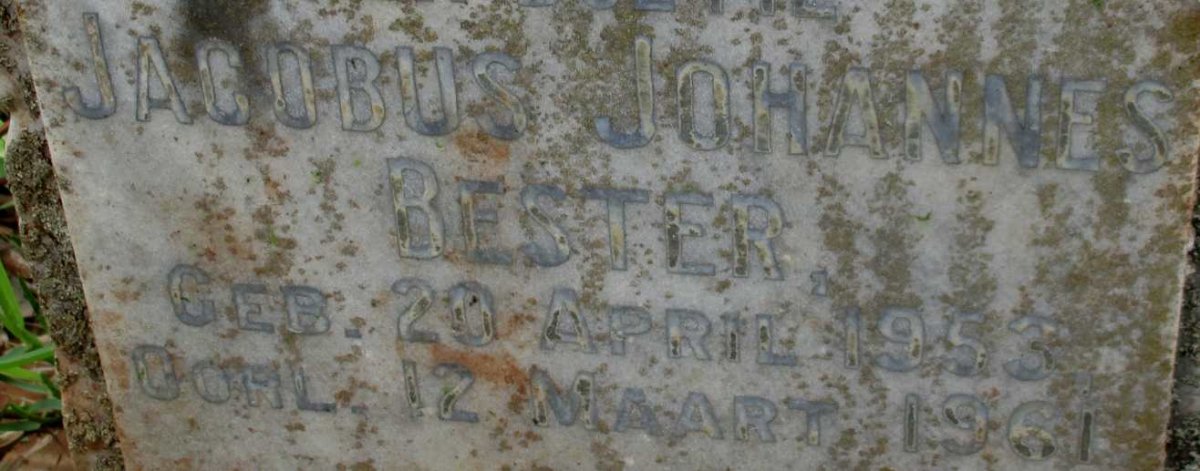 BESTER Jacobus Johannes 1953-1961