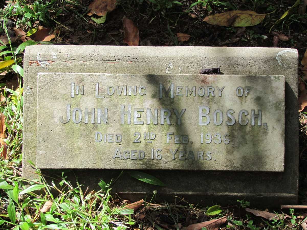 BOSCH John Henry -1936