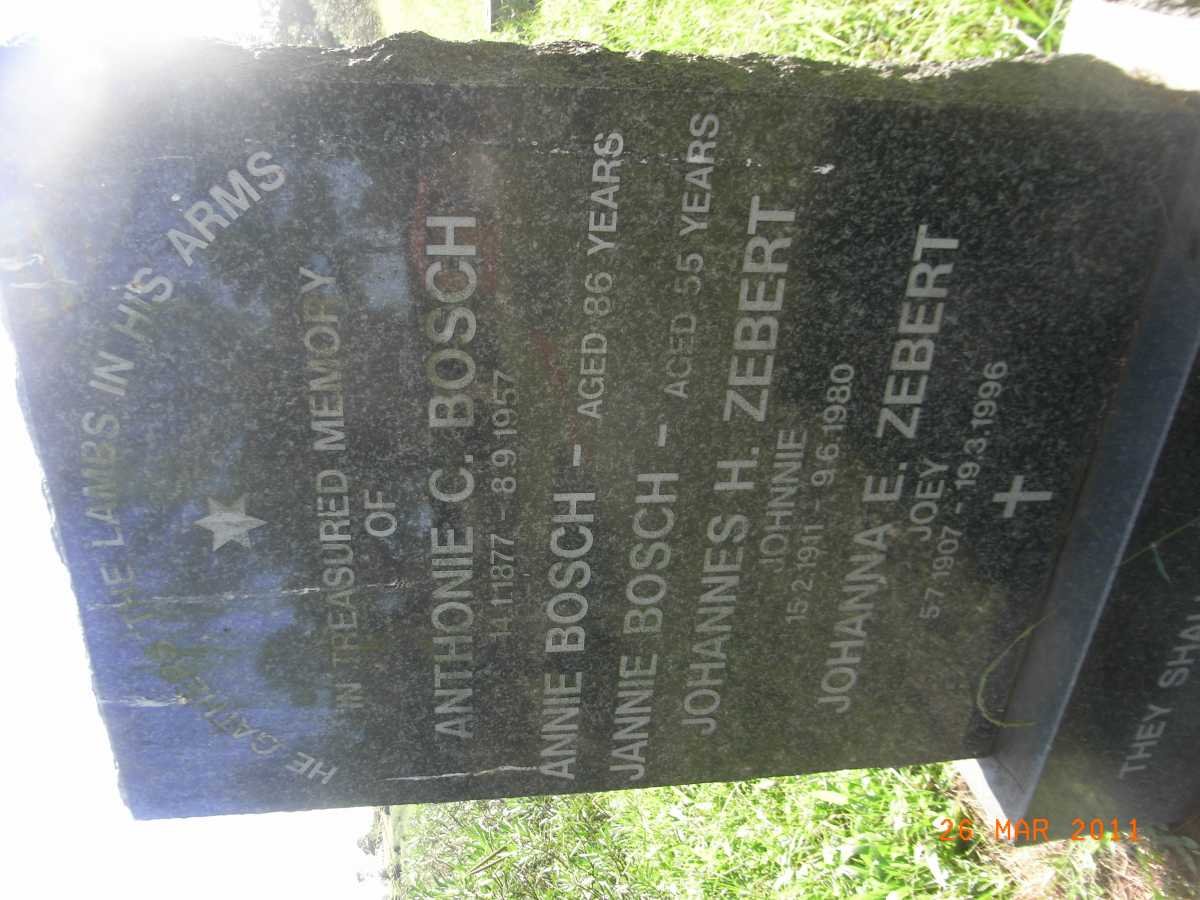 BOSCH :: ZEBERT