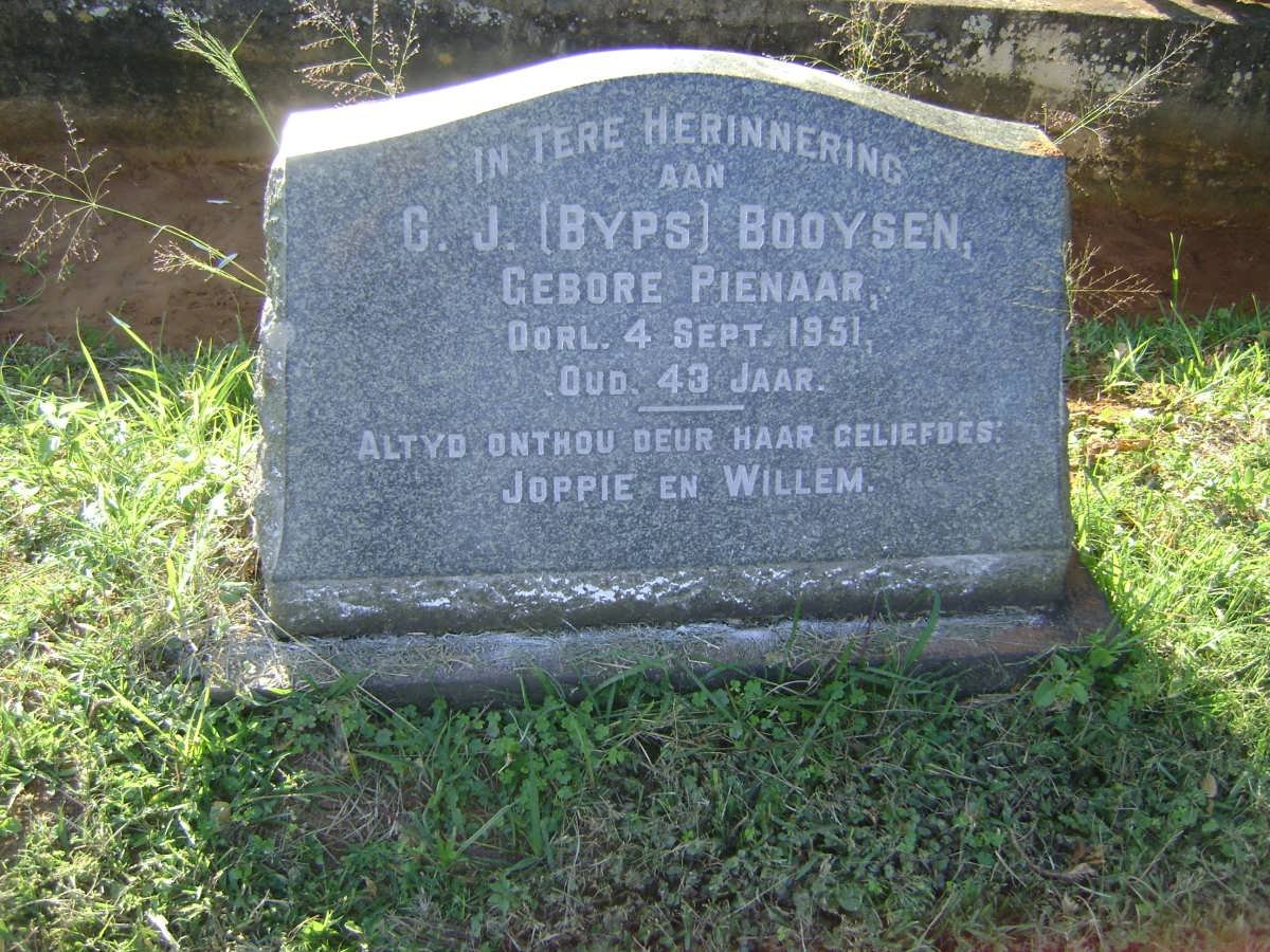BOOYSEN C.J. nee PIENAAR -1951