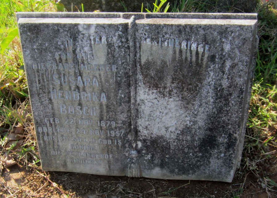 BOSCH Susara Hendrika 1879-1957